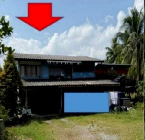 ขายทอดตลาด ที่ดินพร้อมสิ่งปลูกสร้าง ต.บ้านใหม่ อ.ปากพนัง จ.นครศรีธรรมราช