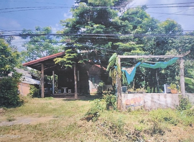 ขายทอดตลาด ที่ดินพร้อมสิ่งปลูกสร้าง ต.โพนทอง อ.เสนางคนิคม จ.อำนาจเจริญ