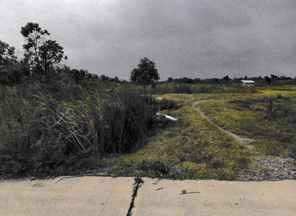 ขายทอดตลาด ที่ดินว่างเปล่า จ.นครศรีธรรมราช