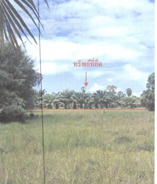 รูปทรัพย์ 1