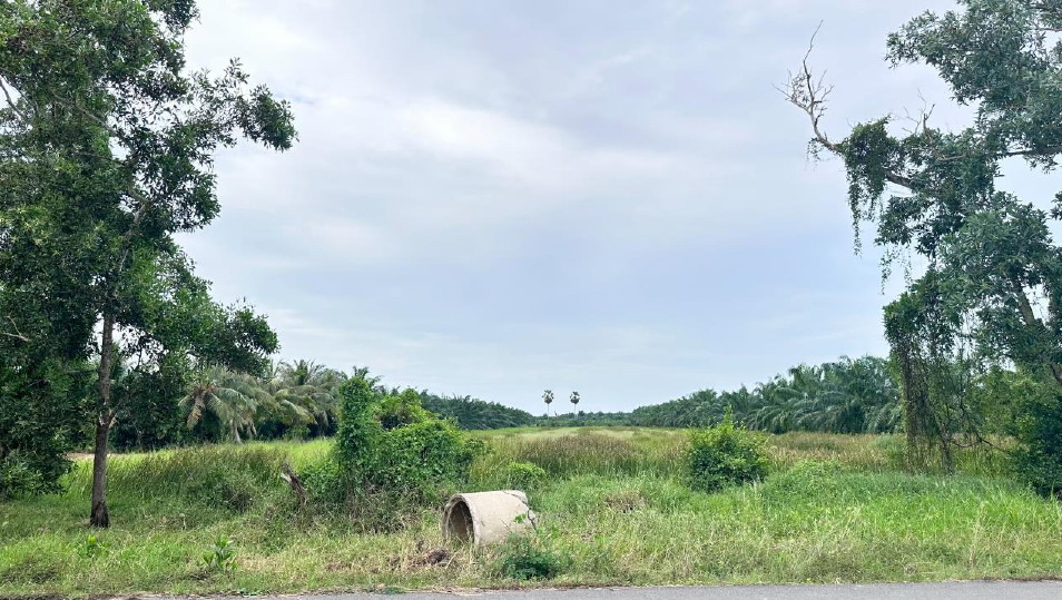 ขายทอดตลาด ที่ดินว่างเปล่า จ.นครศรีธรรมราช