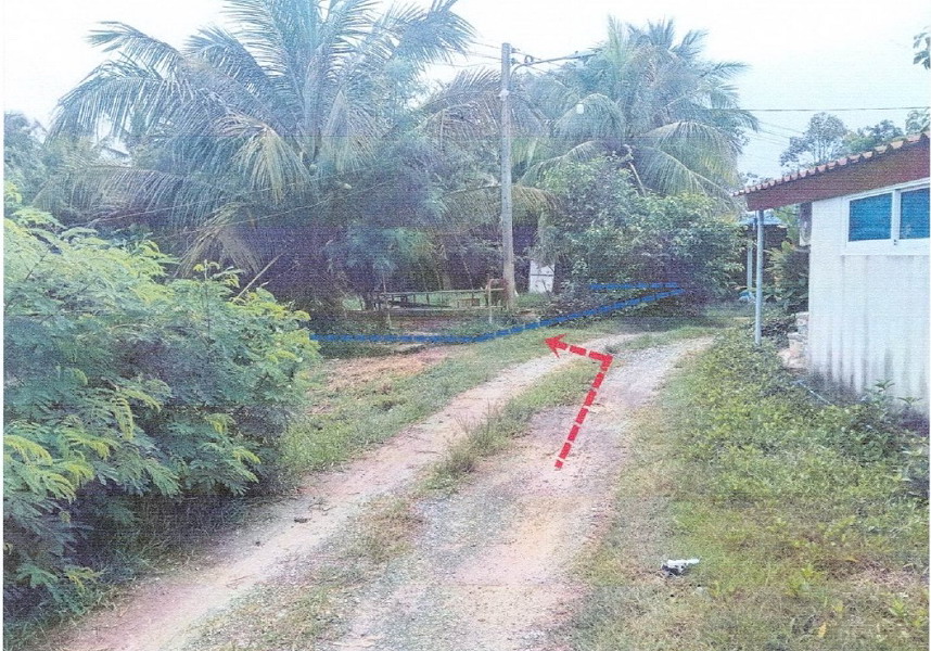 ขายทอดตลาด ที่ดินว่างเปล่า จ.นครศรีธรรมราช