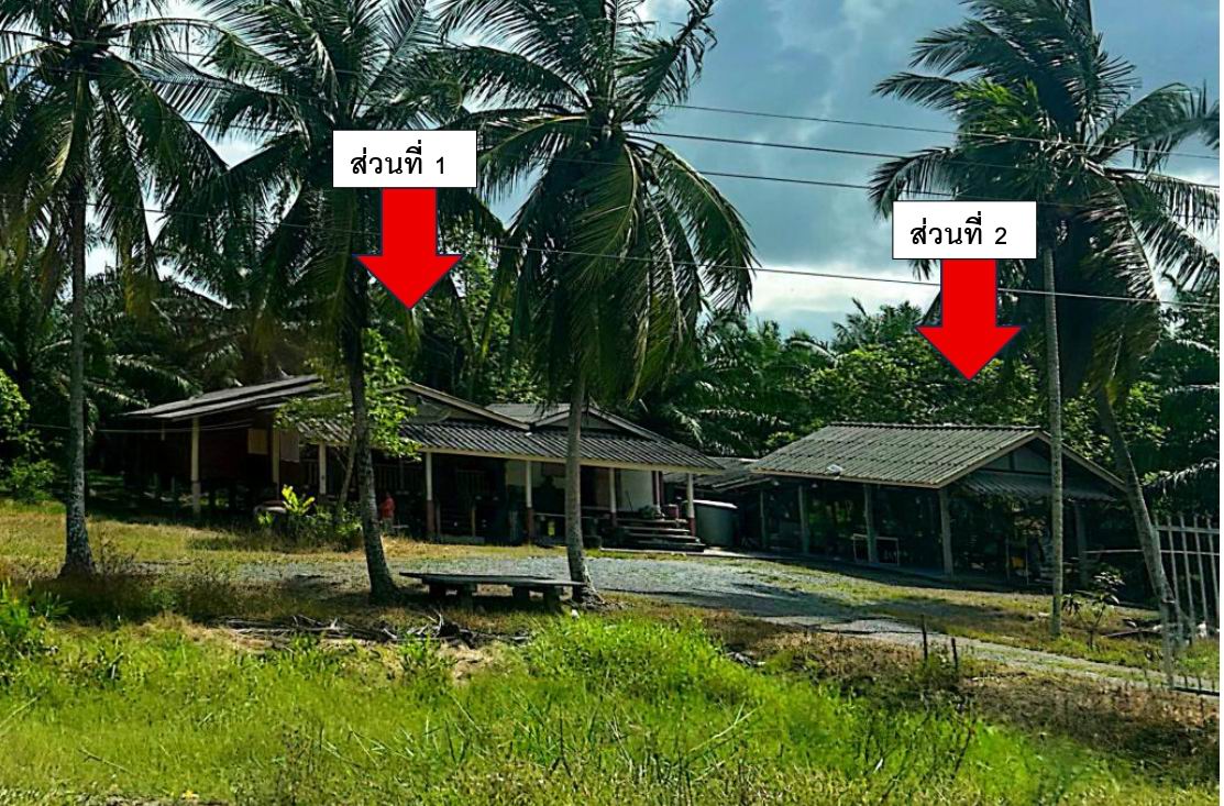 ขายทอดตลาด ที่ดินพร้อมสิ่งปลูกสร้าง ต.ไสหมาก อ.เชียรใหญ่ จ.นครศรีธรรมราช