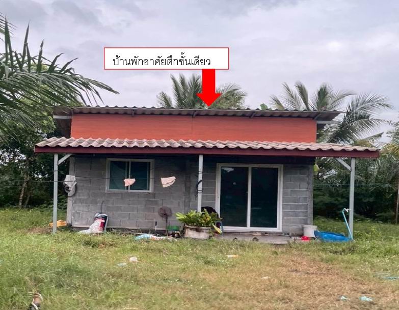 ขายทอดตลาด ที่ดินพร้อมสิ่งปลูกสร้าง ต.หน้าสตน อ.หัวไทร จ.นครศรีธรรมราช