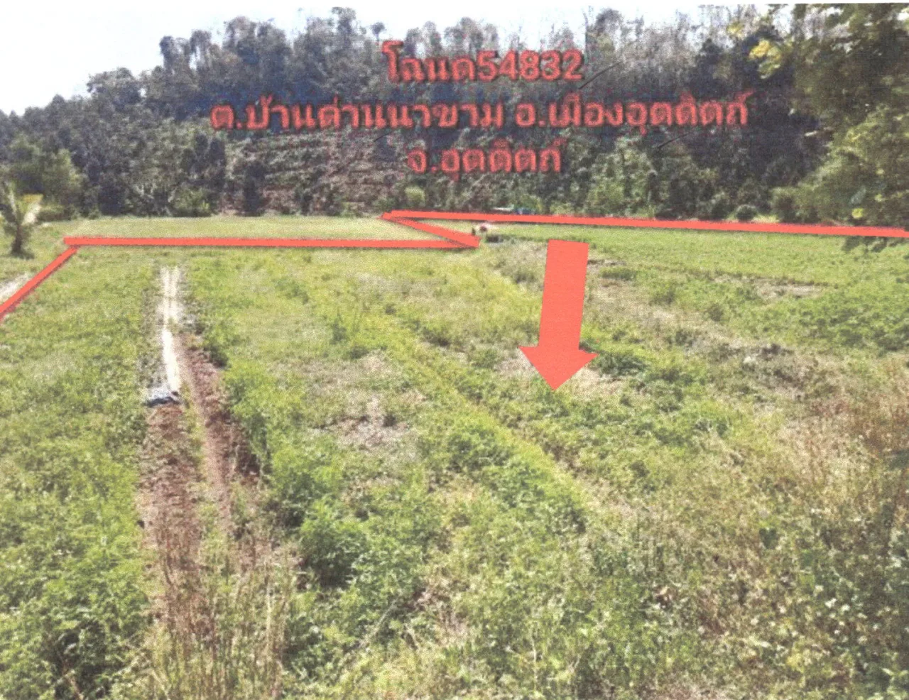 ขายทอดตลาด ที่ดินว่างเปล่า จ.อุตรดิตถ์
