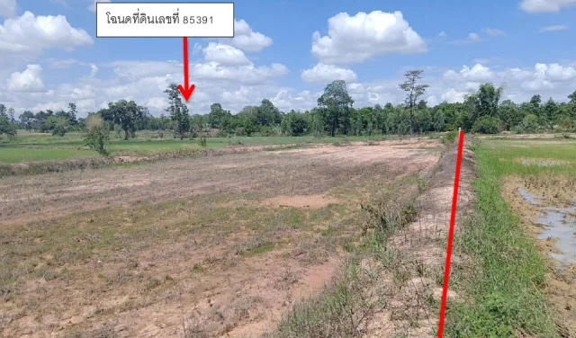 ขายทอดตลาด ที่ดินว่างเปล่า ต.กุดปลาดุก อ.เมืองอำนาจเจริญ จ.อำนาจเจริญ