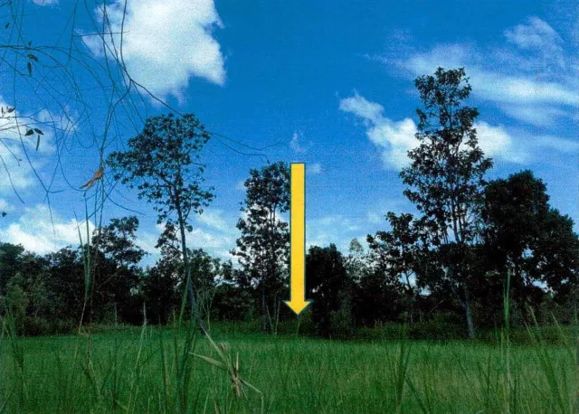 ขายทอดตลาด ที่ดินว่างเปล่า ต.ไร่ขี อ.ลืออำนาจ จ.อำนาจเจริญ