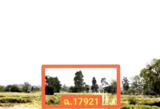 รูปทรัพย์ 3