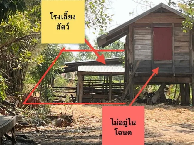 ขายทอดตลาด ที่ดินพร้อมสิ่งปลูกสร้าง ต.คึมใหญ่ อ.เมืองอำนาจเจริญ จ.อำนาจเจริญ