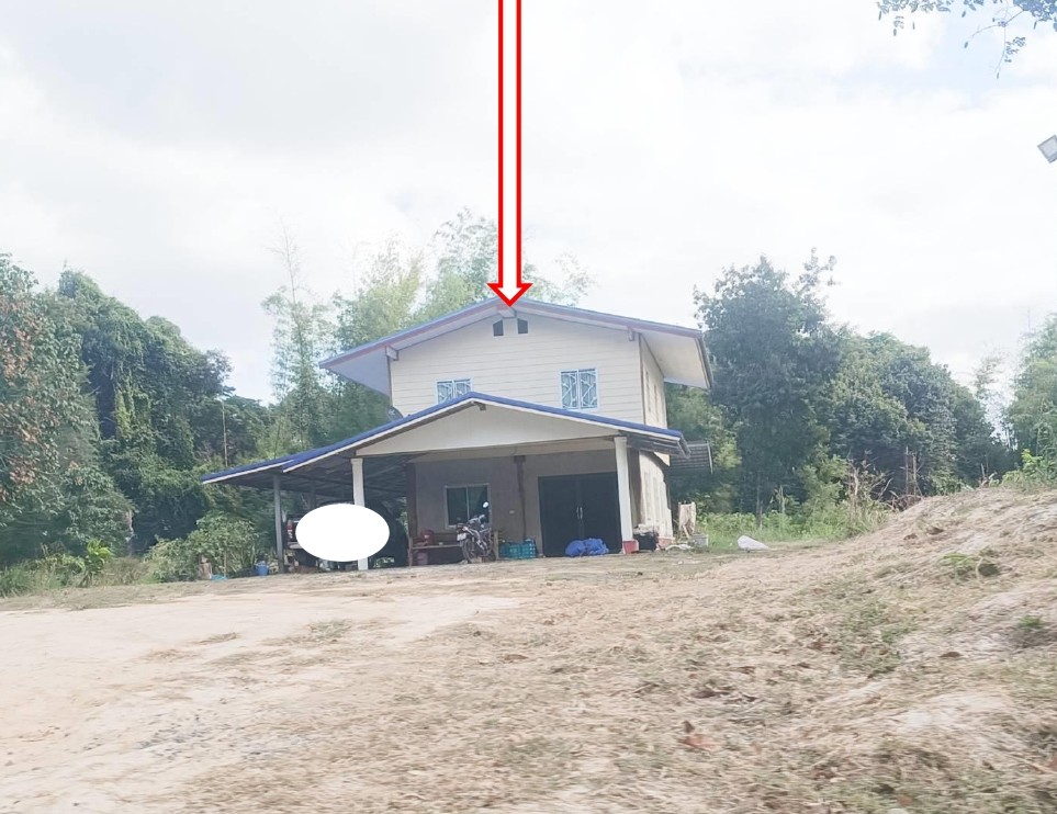 ขายทอดตลาด ที่ดินพร้อมสิ่งปลูกสร้าง ต.หนองข่า อ.ปทุมราชวงศา จ.อำนาจเจริญ