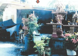 รูปทรัพย์ 2