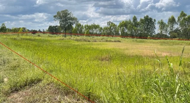ขายทอดตลาด ที่ดินว่างเปล่า ต.ไร่สีสุก อ.เสนางคนิคม จ.อำนาจเจริญ