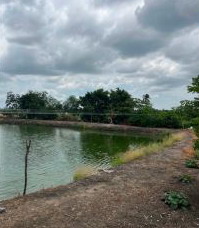 ขายทอดตลาด ที่ดินว่างเปล่า จ.นครปฐม