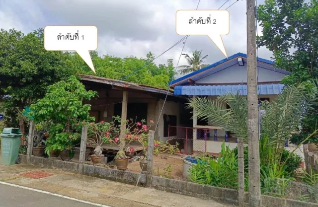 ขายทอดตลาด ที่ดินพร้อมสิ่งปลูกสร้าง ต.อำนาจ อ.ลืออำนาจ จ.อำนาจเจริญ