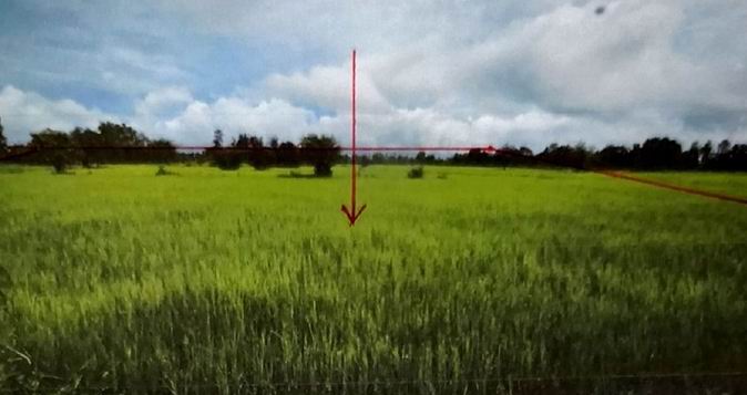 ขายทอดตลาด ที่ดินว่างเปล่า ต.โพนเมืองน้อย อ.หัวตะพาน จ.อำนาจเจริญ