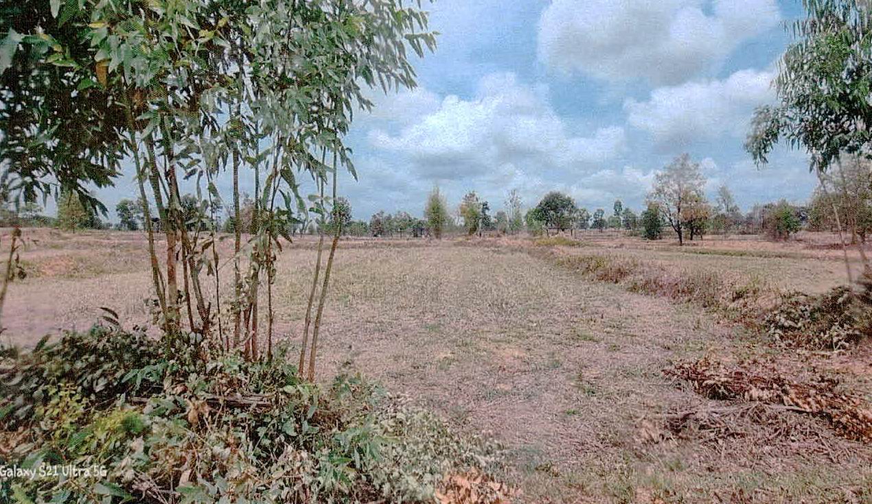 ขายทอดตลาด ที่ดินว่างเปล่า ต.กุดปลาดุก อ.เมืองอำนาจเจริญ จ.อำนาจเจริญ