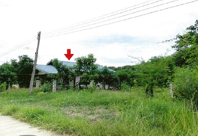 ขายทอดตลาด ที่ดินพร้อมสิ่งปลูกสร้าง ต.หัวไทร อ.หัวไทร จ.นครศรีธรรมราช