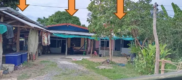 ขายทอดตลาด ที่ดินพร้อมสิ่งปลูกสร้าง ต.สร้างถ่อน้อย อ.หัวตะพาน จ.อำนาจเจริญ
