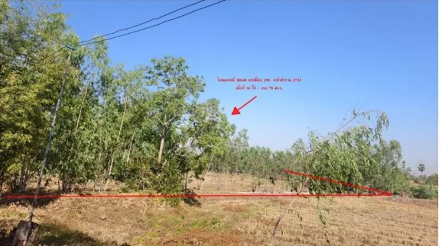 ขายทอดตลาด ที่ดินว่างเปล่า ต.จิกดู่ อ.หัวตะพาน จ.อำนาจเจริญ