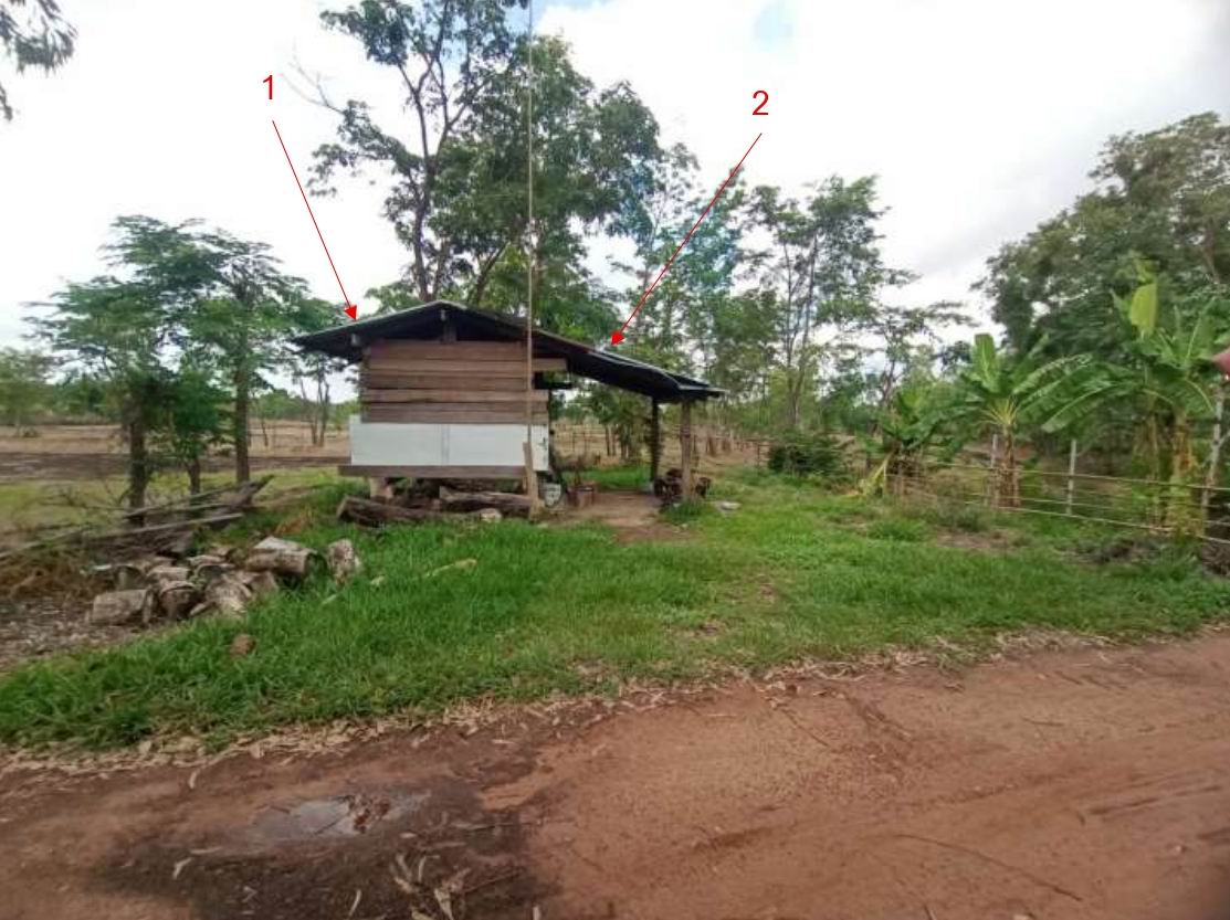 ขายทอดตลาด ที่ดินพร้อมสิ่งปลูกสร้าง ต.โพนทอง อ.เสนางคนิคม จ.อำนาจเจริญ