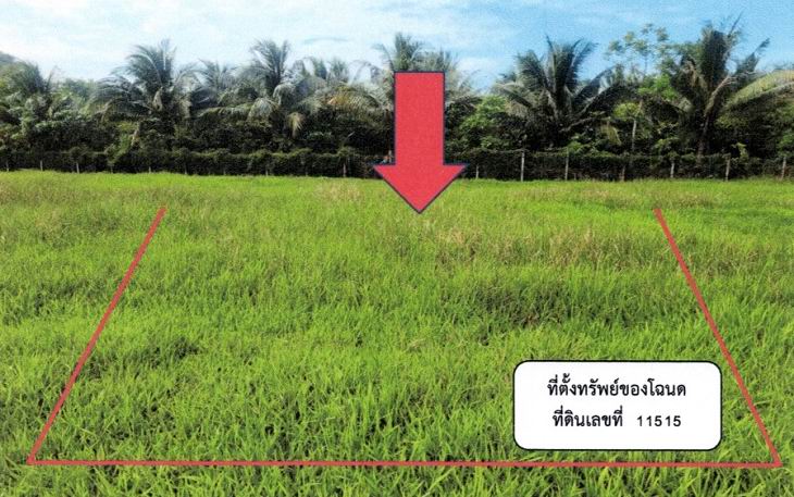 ขายทอดตลาด ที่ดินว่างเปล่า จ.นครศรีธรรมราช