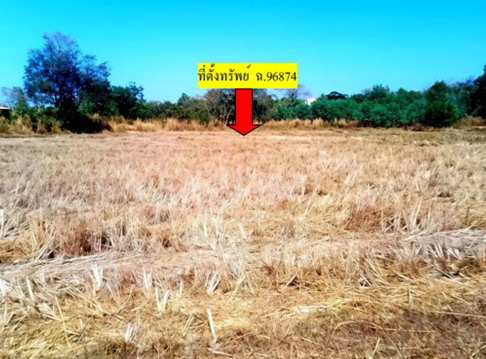 ขายทอดตลาด ที่ดินว่างเปล่า จ.นครพนม