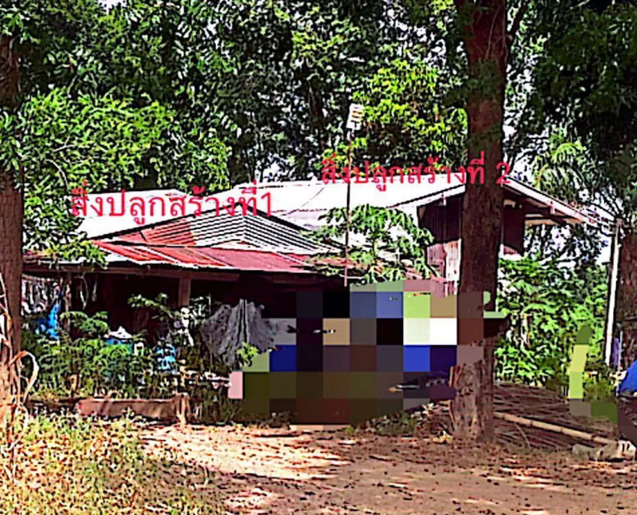 ขายทอดตลาด ที่ดินพร้อมสิ่งปลูกสร้าง ต.สุขฤทัย อ.ห้วยคต จ.อุทัยธานี
