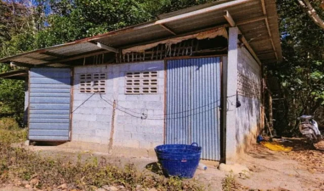 ขายทอดตลาด ที่ดินพร้อมสิ่งปลูกสร้าง ต.ลาดกระทิง อ.สนามชัยเขต จ.ฉะเชิงเทรา