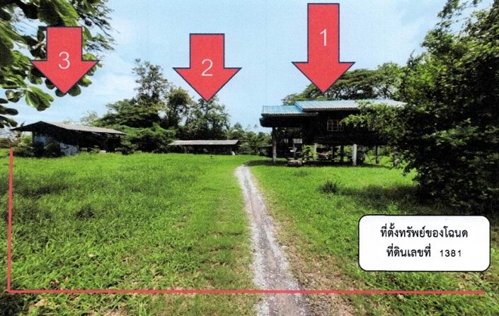 ขายทอดตลาด ที่ดินพร้อมสิ่งปลูกสร้าง ต.เชียรเขา อ.เฉลิมพระเกียรติ จ.นครศรีธรรมราช
