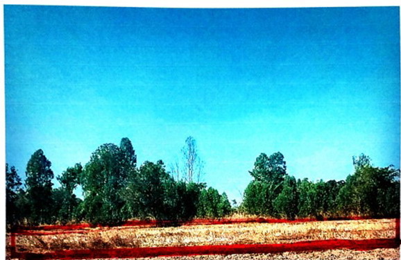 ขายทอดตลาด ที่ดินว่างเปล่า จ.นครพนม