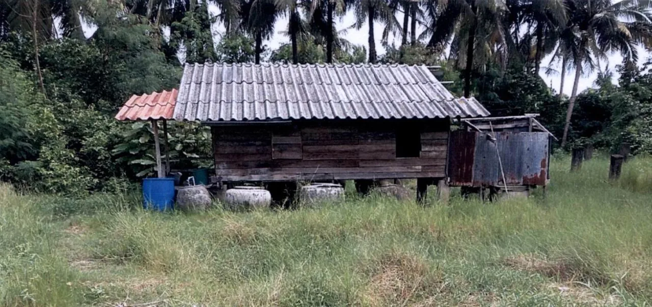 ขายทอดตลาด ที่ดินพร้อมสิ่งปลูกสร้าง ต.ท่าซอม อ.หัวไทร จ.นครศรีธรรมราช