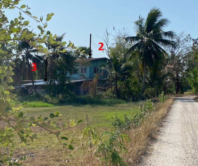ขายทอดตลาด ที่ดินพร้อมสิ่งปลูกสร้าง ต.หนองกระทุ่ม อ.ทัพทัน จ.อุทัยธานี