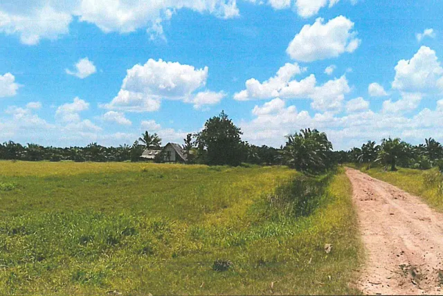 ขายทอดตลาด ที่ดินว่างเปล่า ต.ควนชะลิก อ.หัวไทร จ.นครศรีธรรมราช