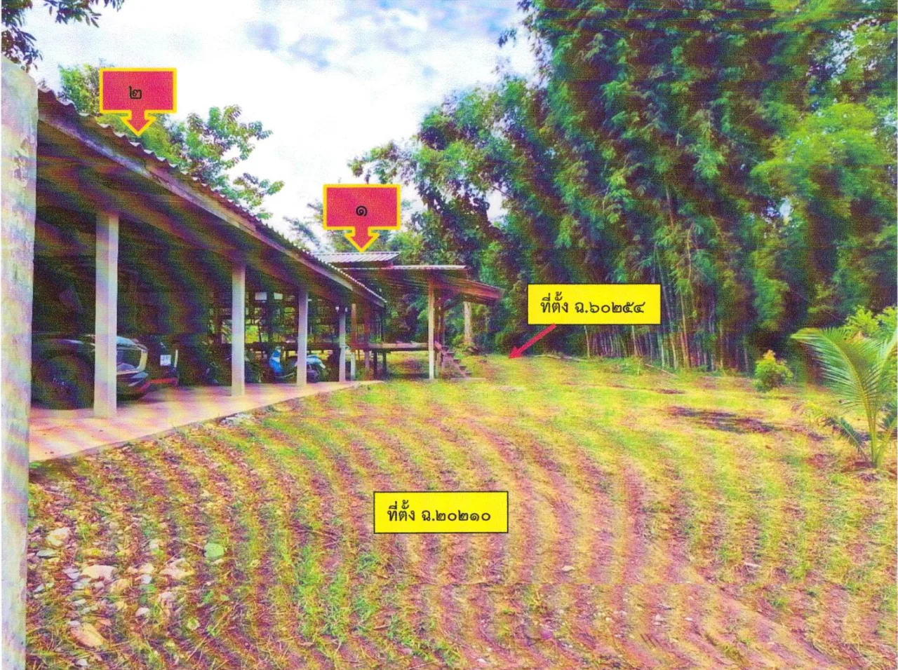 ขายทอดตลาด ที่ดินว่างเปล่า ต.เมืองพาน อ.พาน จ.เชียงราย