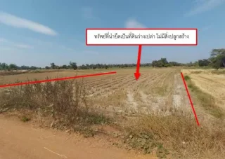 รูปทรัพย์ 2
