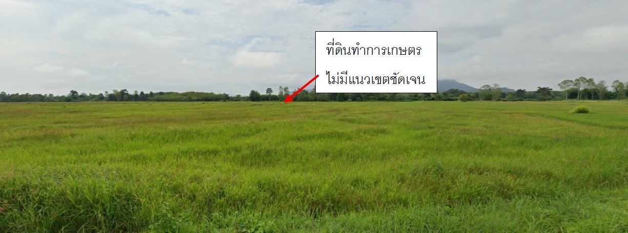 ขายทอดตลาด ที่ดินว่างเปล่า จ.บึงกาฬ