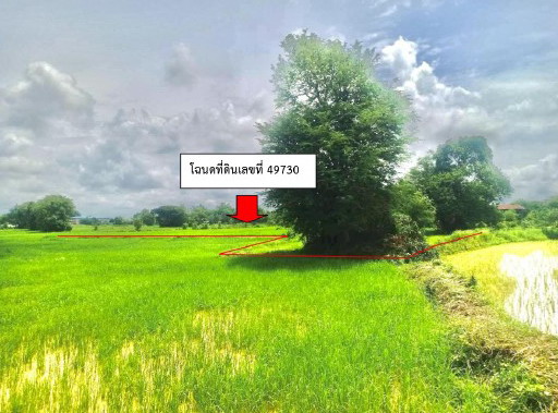 ขายทอดตลาด ที่ดินว่างเปล่า จ.นครพนม