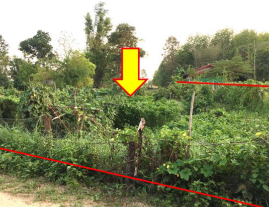 ขายทอดตลาด ที่ดินว่างเปล่า จ.นครพนม