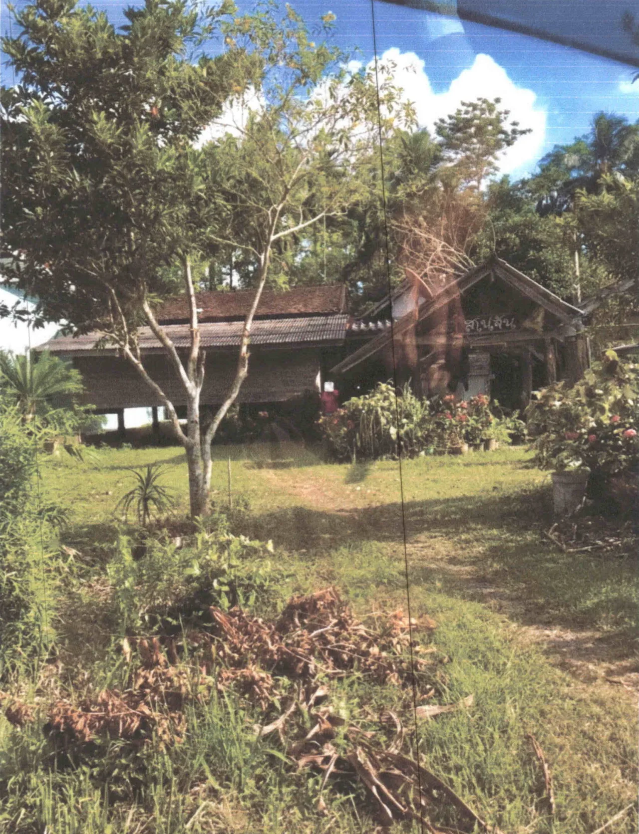 ขายทอดตลาด ที่ดินพร้อมสิ่งปลูกสร้าง ต.ตะแพน อ.ศรีบรรพต จ.พัทลุง