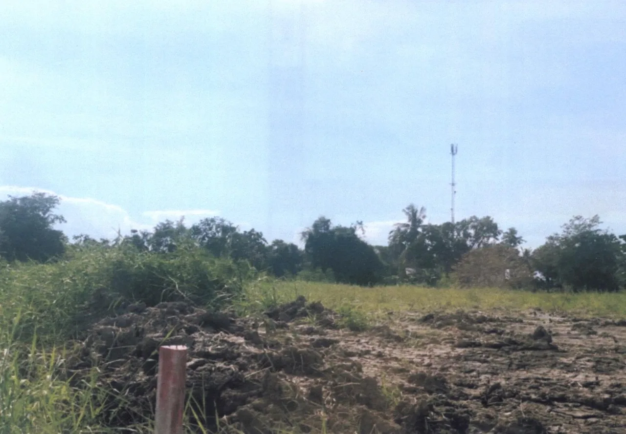 ขายทอดตลาด ที่ดินว่างเปล่า จ.อุทัยธานี