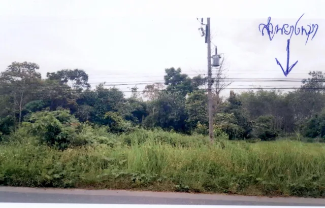 ขายทอดตลาด ที่ดินว่างเปล่า จ.พัทลุง