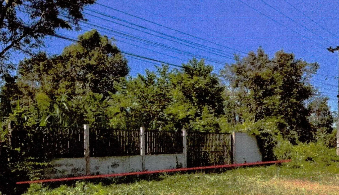 ขายทอดตลาด ที่ดินว่างเปล่า จ.บึงกาฬ