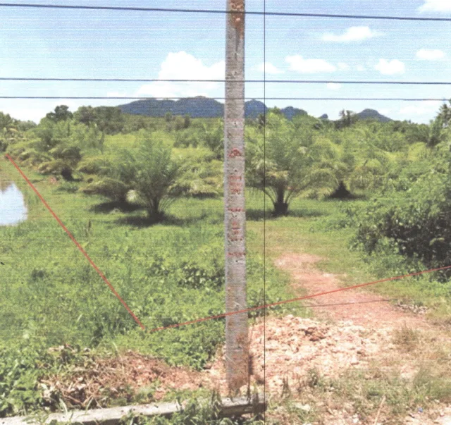 ขายทอดตลาด ที่ดินว่างเปล่า จ.พัทลุง