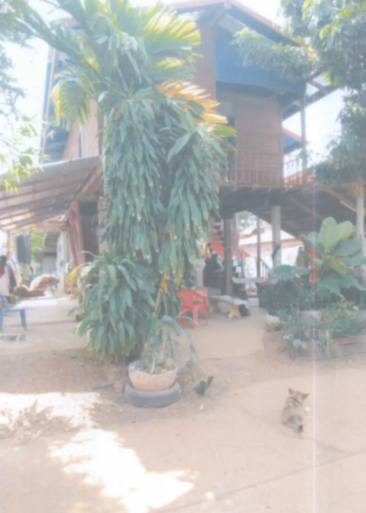 ขายทอดตลาด ที่ดินพร้อมสิ่งปลูกสร้าง ต.โคกสว่าง อ.ปลาปาก จ.นครพนม