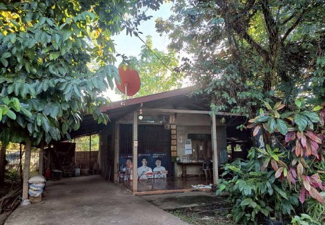 ขายทอดตลาด ที่ดินพร้อมสิ่งปลูกสร้าง ต.ป่งไฮ อ.เซกา จ.บึงกาฬ