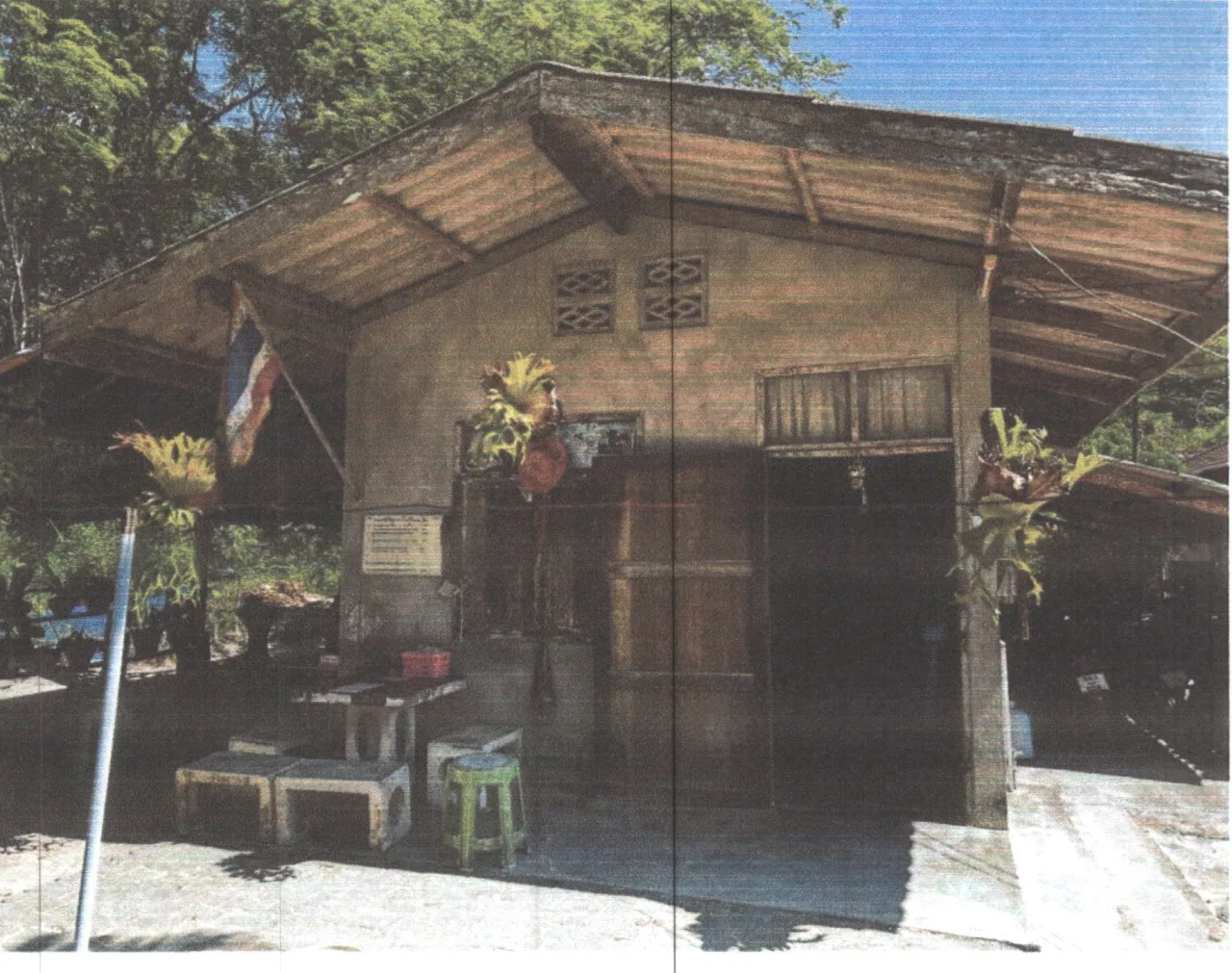 ขายทอดตลาด ที่ดินพร้อมสิ่งปลูกสร้าง ต.วังใหม่ อ.ป่าบอน จ.พัทลุง