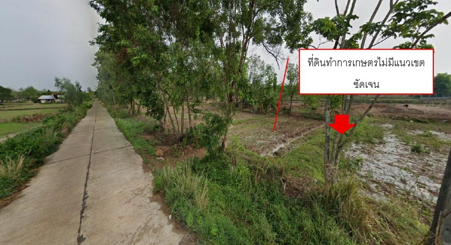 ขายทอดตลาด ที่ดินว่างเปล่า จ.บึงกาฬ