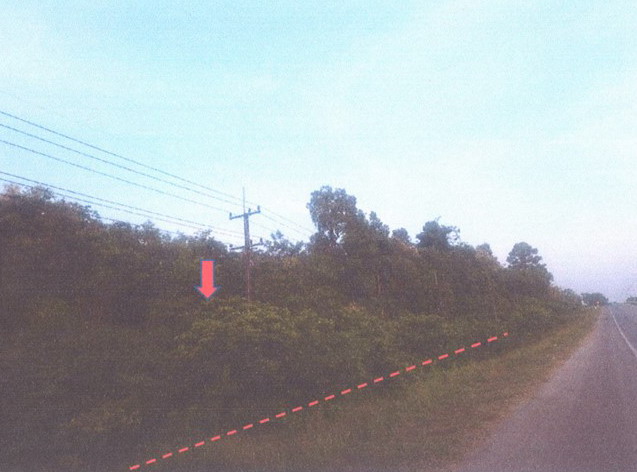 ขายทอดตลาด ที่ดินว่างเปล่า จ.นครพนม