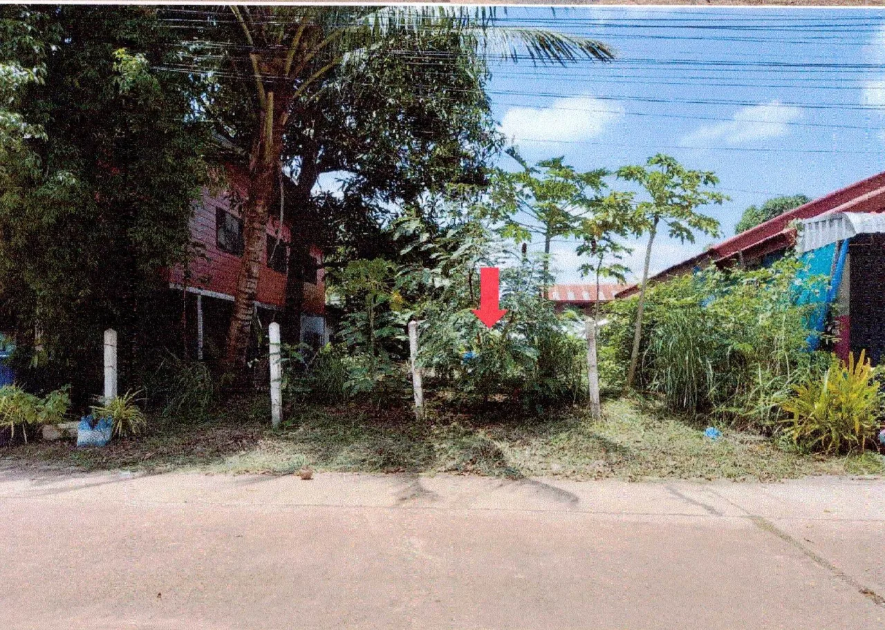 ขายทอดตลาด ที่ดินว่างเปล่า จ.บึงกาฬ