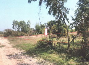 ขายทอดตลาด ที่ดินว่างเปล่า จ.อุทัยธานี